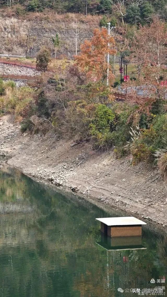 两毁两建，三廊相连，这座全国最长的木拱廊桥‌，就在温州！