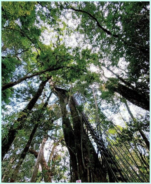 逃离人潮踏青 偶遇绝美秘境 这份五一屏边小众游攻略让你惊艳朋友圈