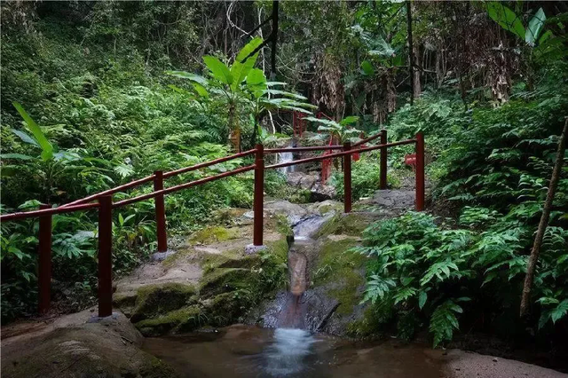 广东韶关2日叹禅意之旅，人均200不贵！经律论+温泉+双早+天禅谷