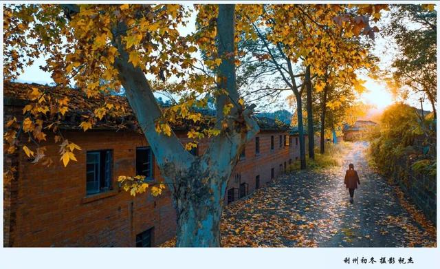 2025利州秋色，每一帧都是限定浪漫