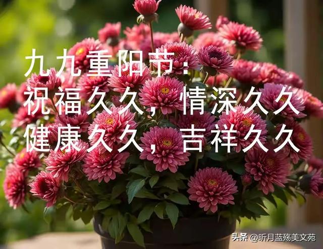 九九重阳节:祝福久久,情深久久,健康久久,吉祥久久,幸福永久