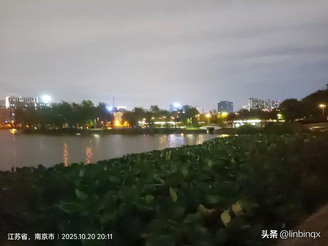 初到古都南京印象——金秋掠影