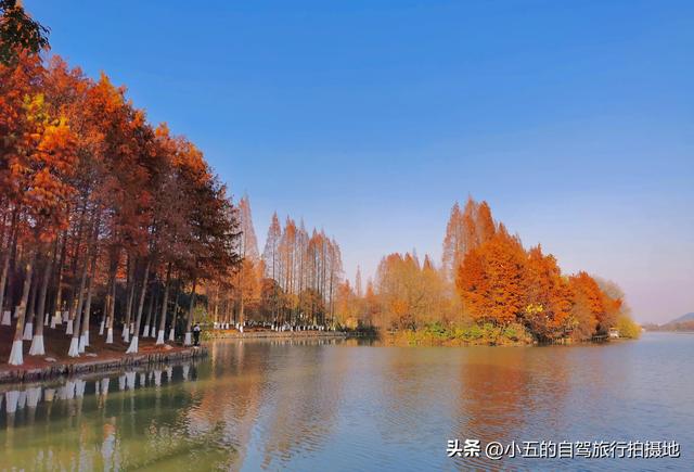 爆哭！杭州湘湖水街居然藏着这么多神仙景点！本地人私藏攻略曝光