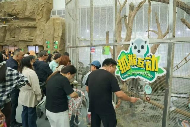 “追景指数”上升！日照这四大热点景区，上榜！