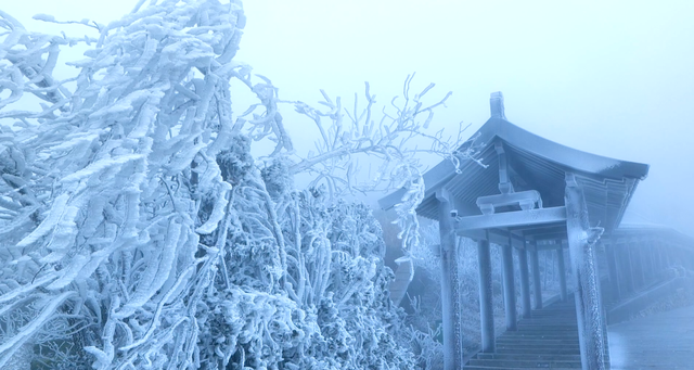 南昌初雪上线！湾里雾凇美成仙境，这份江南冰雪浪漫太惊喜了