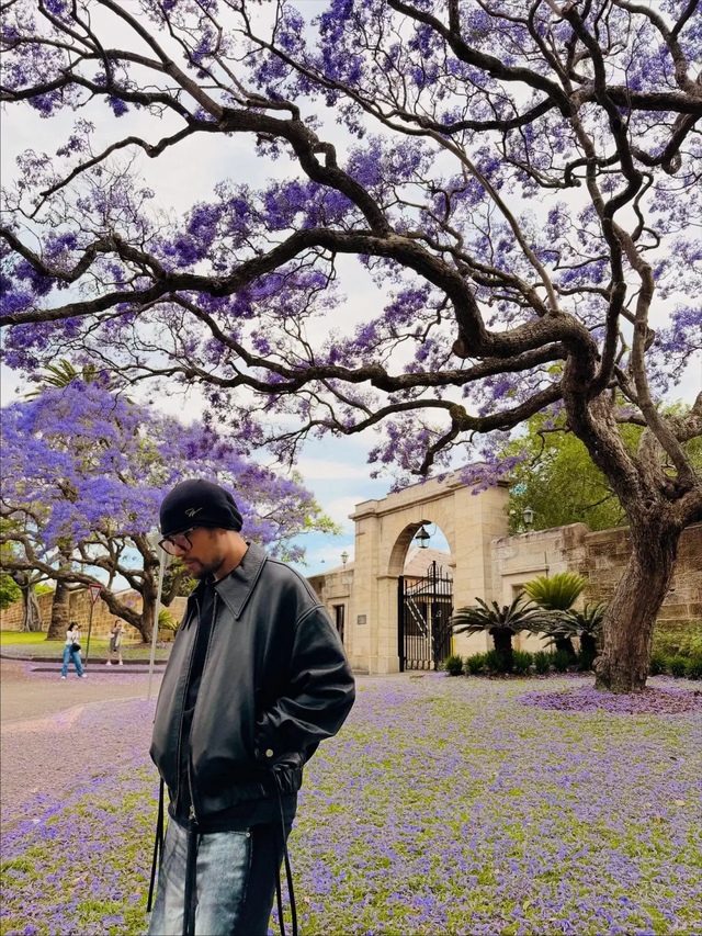 澳洲一年一次的绝美风景再度刷屏! 周杰伦也在打卡, 华人狂偶遇