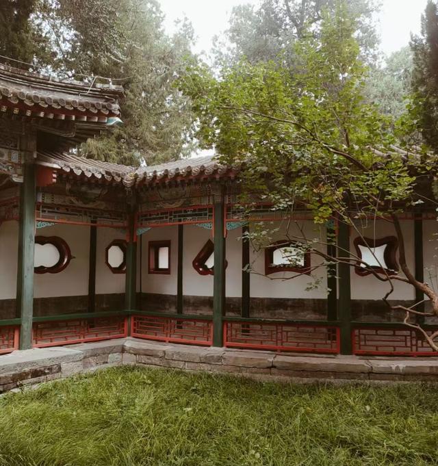 王林平随笔《秋季的浪漫：置身古庭院》