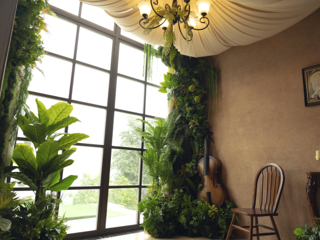 金堂这里“下雪”了！