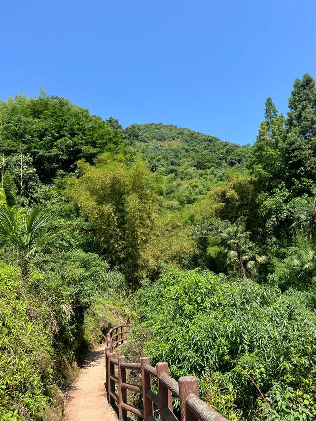 实测低9℃！成都1.5h的免费溯溪玩水遛娃路线，超安逸！