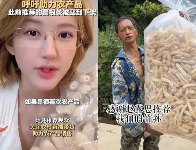 心力经济2：赵露思的阳谋无解