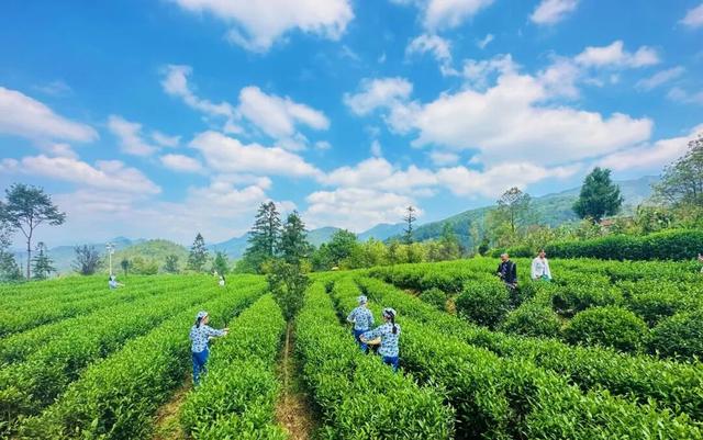 汉中新增一家国家4A级旅游景区→