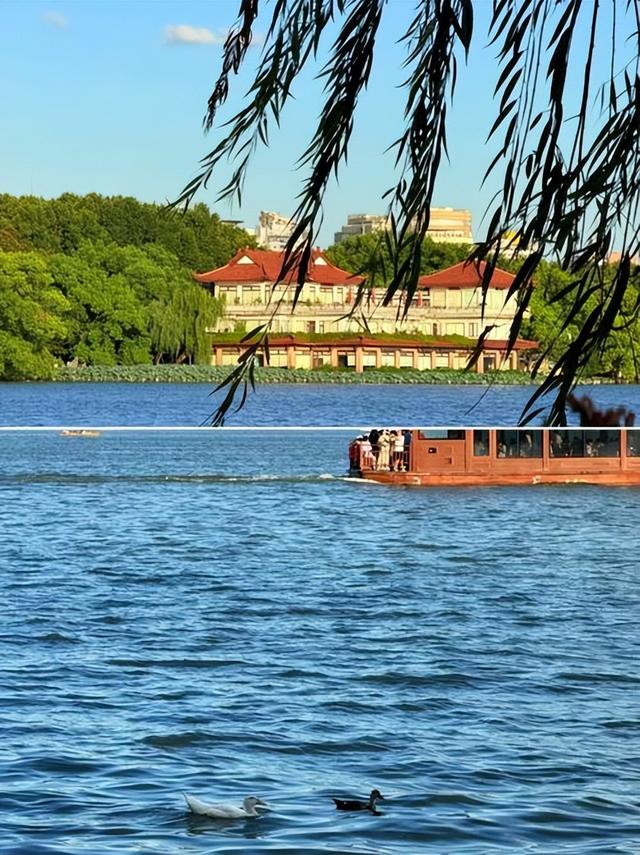 国内多家景区，扎堆宣布免门票，究竟是怎么了？