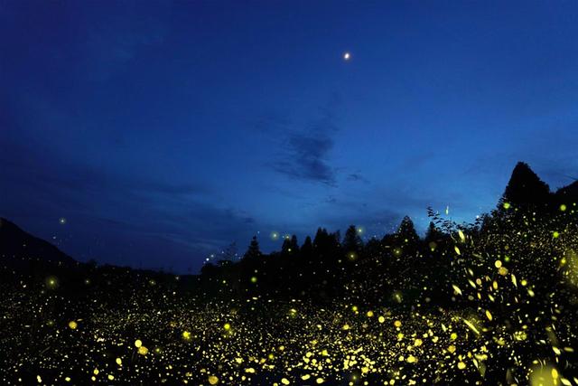 盘点我去过浙江泰顺的五个绝美地，比国外还美，知道的游客却很少