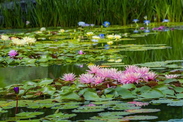 60岁之后一定要去一次！北京对老人免票的20+景点，不花钱还好玩