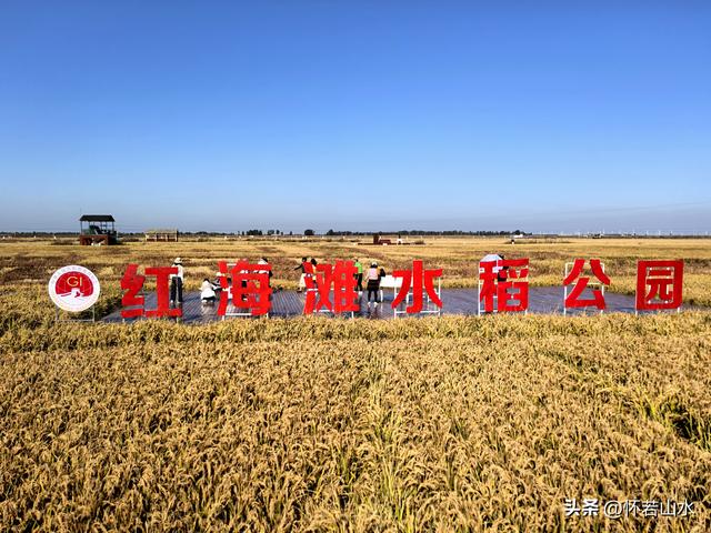 2025辽宁赏秋之旅日记(5)——从本溪前往盘锦 游览红海滩景观