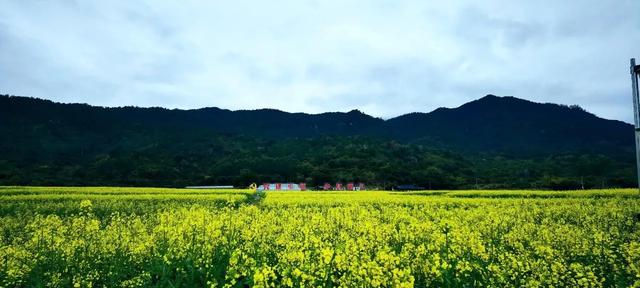 [福建 厦门市同安区莲花镇]