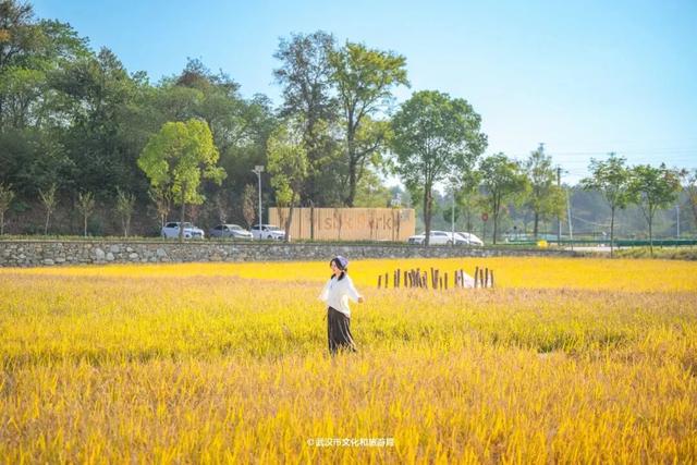 会玩的武汉人，都回村过秋天了