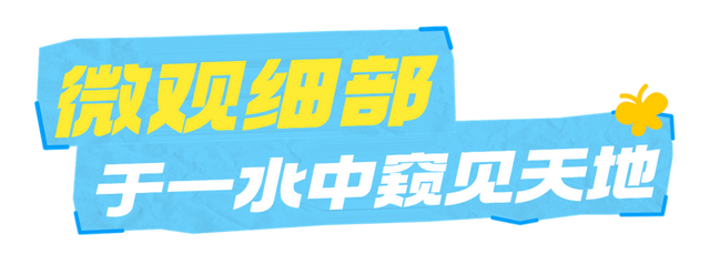 “天下一水”九寨沟