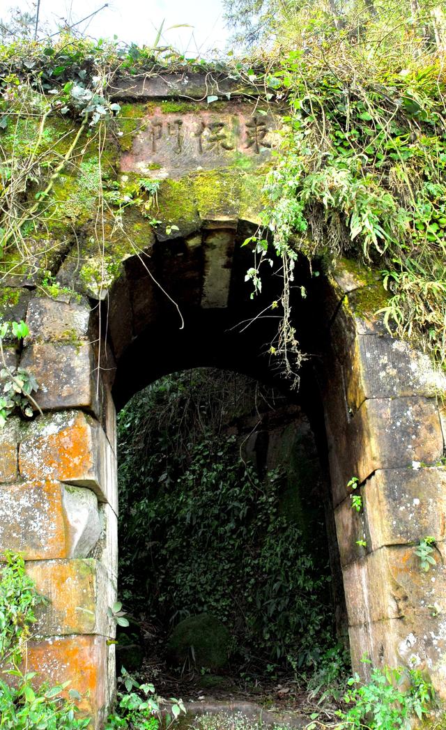 神奇骆崃山 , 99匹骏马想与你相见