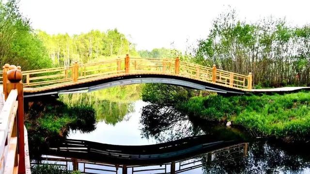 乘着高铁游白山 | 皖美夏日