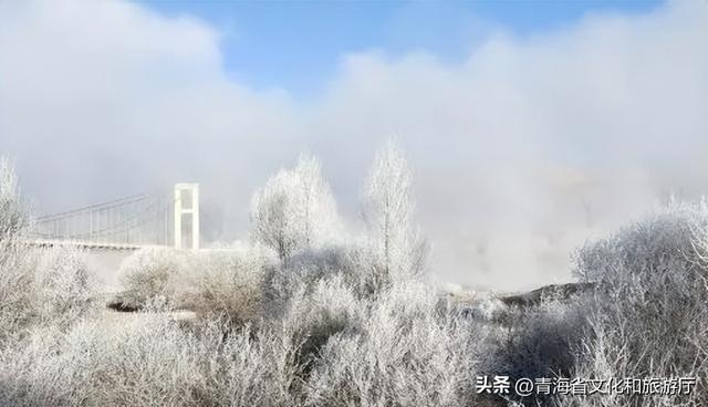 青海的冬天有多美？风裹着雪吻过河流，阳光在雪山尖写满温柔