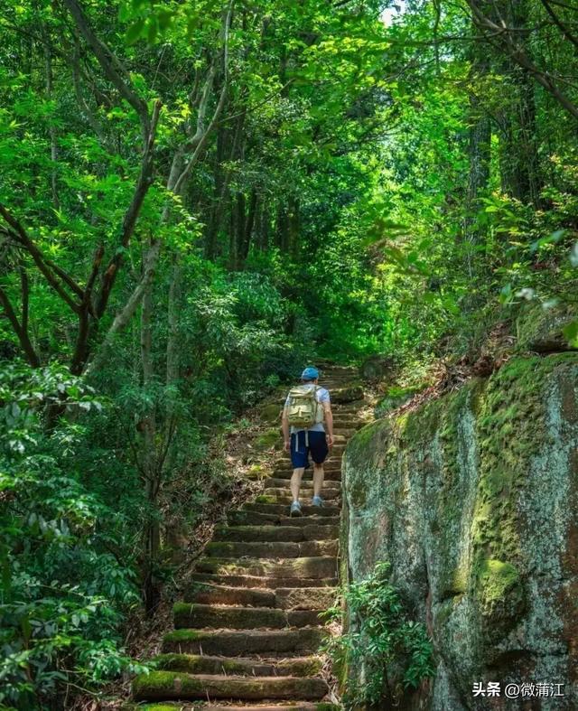 “骑”遇惊喜，快来成都蒲江“醉氧”绿道，开启你的追风之旅！