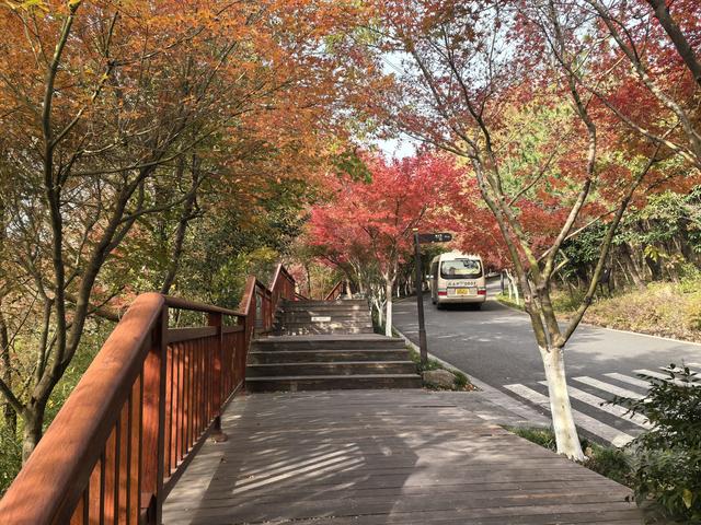 南京栖霞山一日徒步，游千年古刹，看漫山红叶