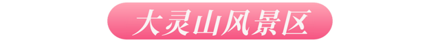 黄山七夕，高甜“来电”，这波心动谁顶得住？！| 皖美夏日