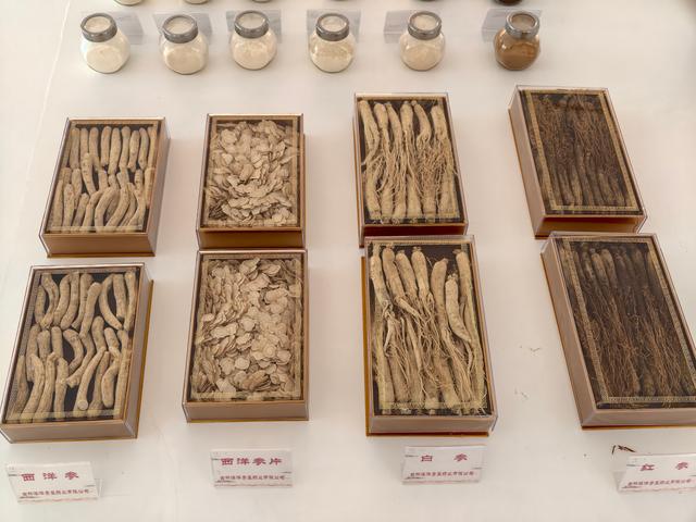 参乡行记：在集安遇见百草之王的千年之约