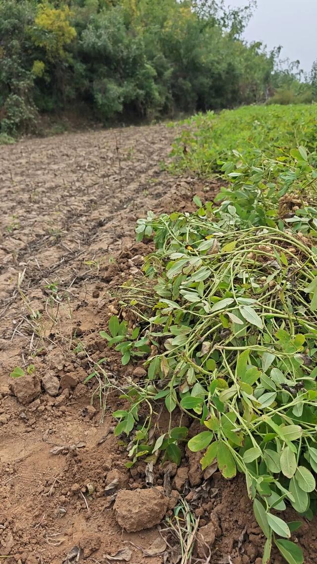 10月，「需要另一个同类」