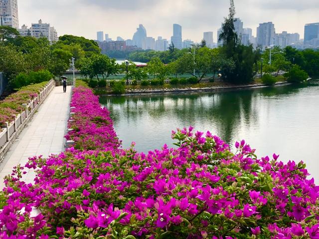 厦门上榜!2026年春节旅游热门目的地!