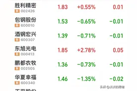 胜利精密 包钢股份 酒钢宏兴 东旭光电，等10只跑输大盘的2元股图片