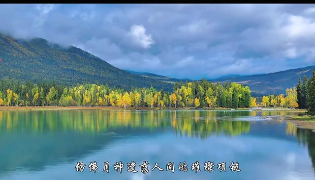 喀纳斯才是秋景顶配！入秋过后的这里，藏着全年最浓的色彩暴击