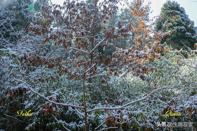 影记 | 衢州钱江源国家森林公园