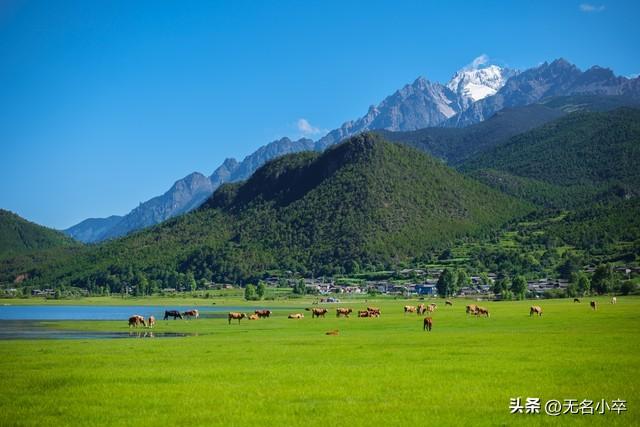 云南大理和丽江都去旅居过，实话实说，两者对比，大理要好多了