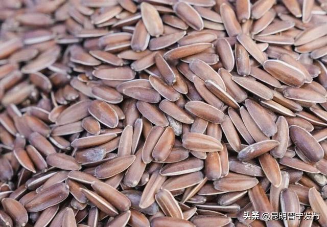 昆阳站临走前冲！晋宁特产采购指南，百元搞定伴手礼！