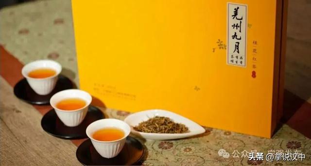 抢“鲜”看！宁强县“双节”文旅活动出炉→