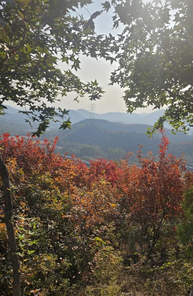 京郊红叶顶流已上线，这里已经美到窒息！避堵攻略速藏！