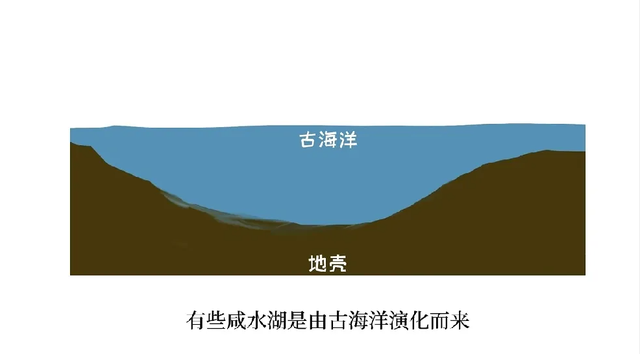 新疆专家在调查野猪时, 发现“生命奇迹”, 四亿年演化适应沙漠生存