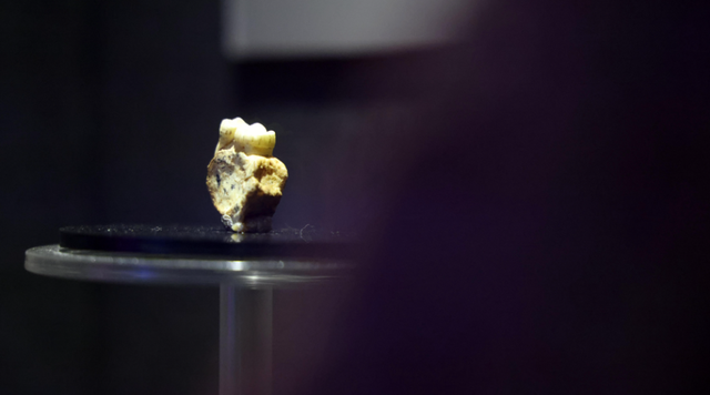 巫山：等到满山红叶时