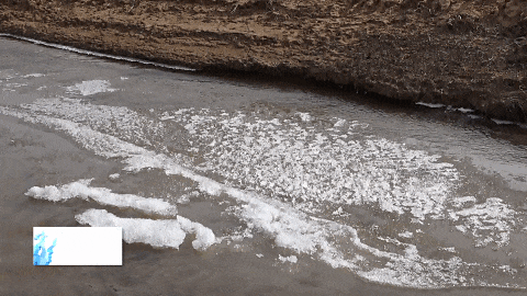 冬日三交：冰凝霜缀 奏响自然冬韵