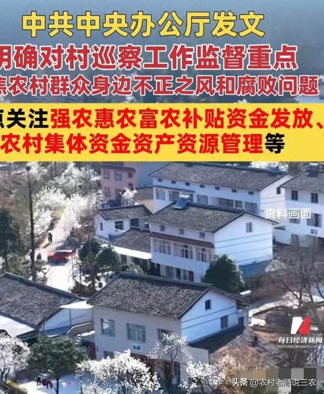 2026村巡察风暴：直击基层腐败七寸，农民的钱袋子这回有人守了！