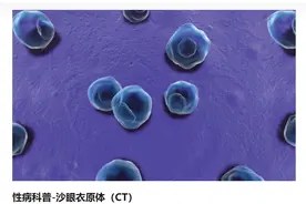 小科普守护大健康：生殖道沙眼衣原体感染健康教育处方——2023年性病防治主题宣传周图片