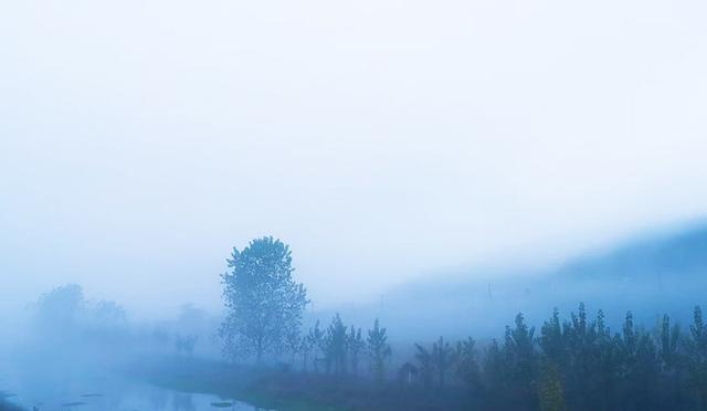 晨雾翩跹入画来 赤壁黄狮畈冬景藏诗意