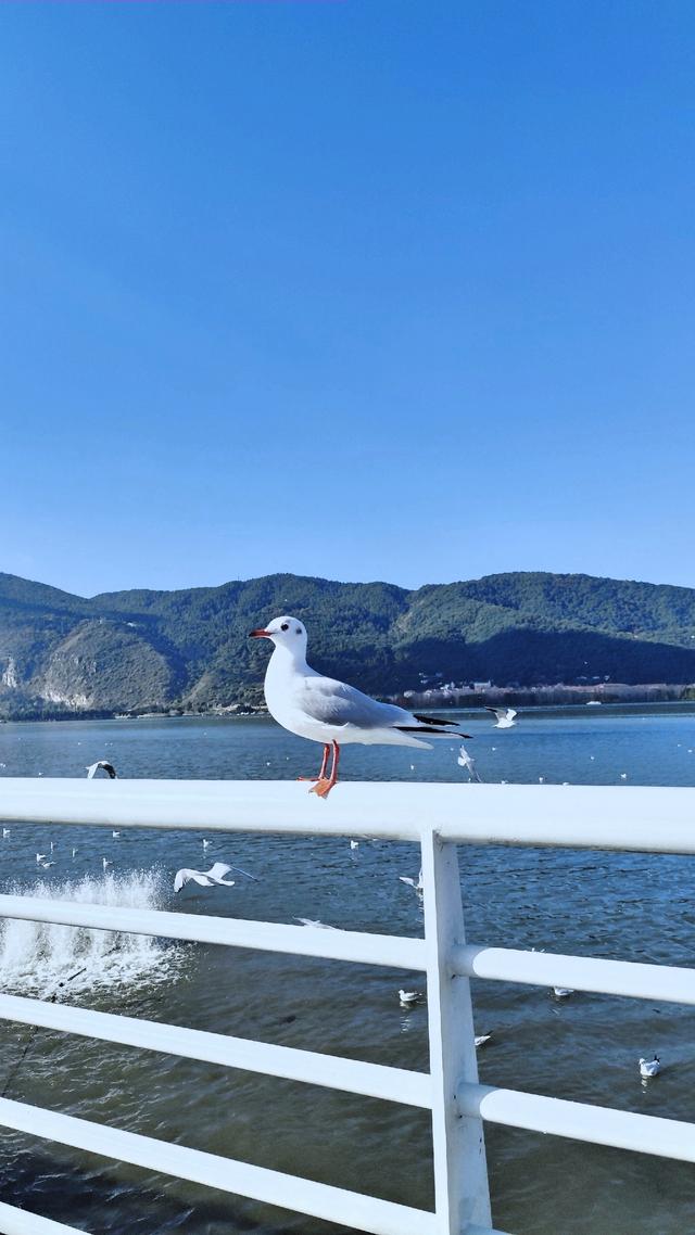 梦幻云南（二）：滇池篇