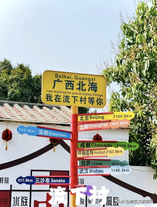 暖冬18℃！涠洲岛打卡指南：赴一场鲸落与火山的秘境之约