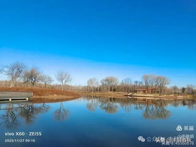 初冬北京玉河湿地公园游记|申艳娟