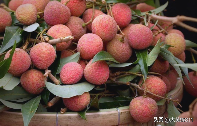 认识大美广东的每个县——第37波：郁南