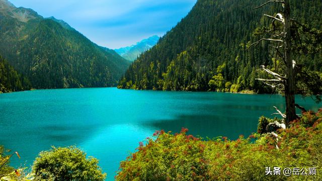 畅游中国｜九寨沟，难忘的那一汪汪水……