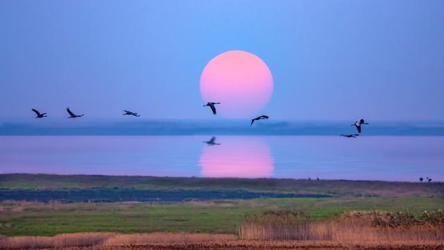 孝感的秋天很短，但这些美好很长｜秋日治愈这6个理由让我去了3次